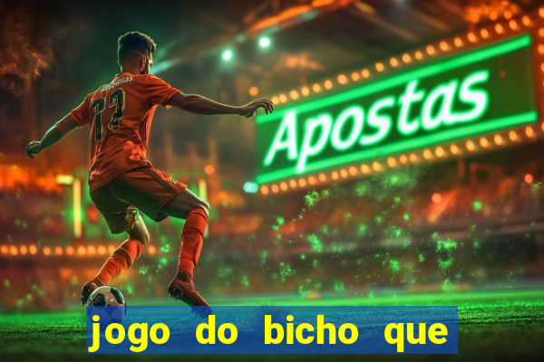 jogo do bicho que paga no pix